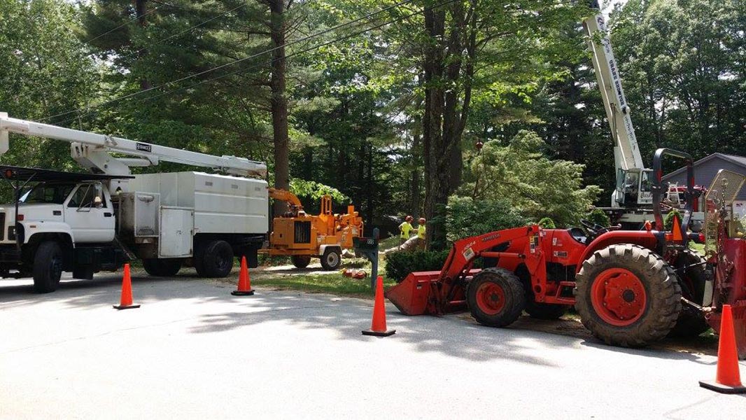 Stump grinding service