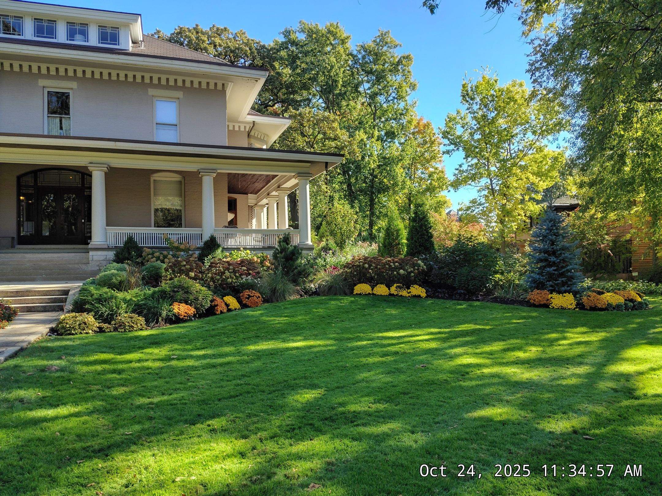 Stump grinding service
